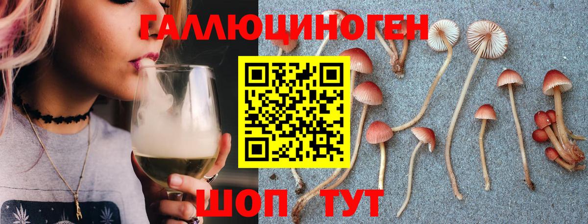 Кулебаки  Галлюциногенные грибы GOLDEN TEACHER  Вход с VPN 